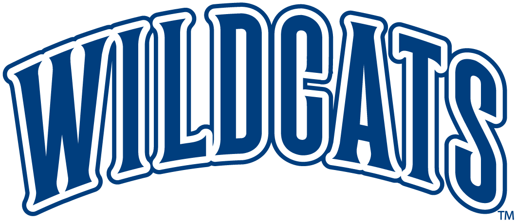 Villanova Wildcats 1996-Pres Wordmark Logo iron on transfers for clothing